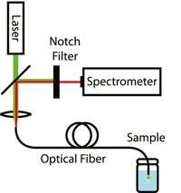 SERS with optic fiber